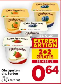 Billa Obstgarten Angebot