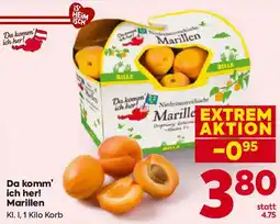 Billa Da komm ich her! marillen Angebot