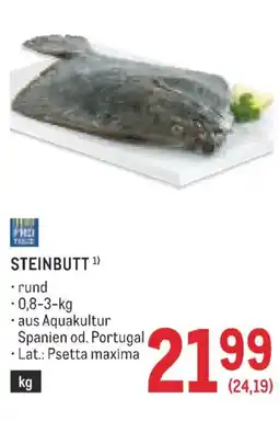 Metro Steinbutt Angebot