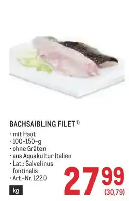 Metro Bachsaibling filet Angebot