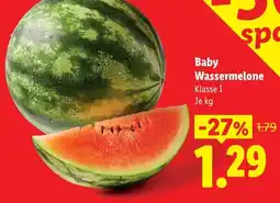 Lidl Baby wassermelone Angebot