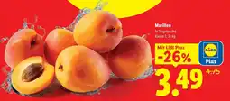 Lidl Marillen Angebot