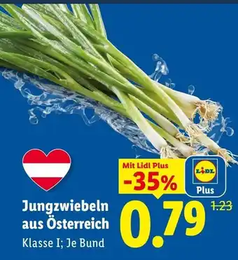 Lidl Jungzwiebeln aus österreich Angebot