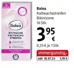 dm Balea Angebot