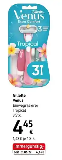 dm Gillette Venus Angebot