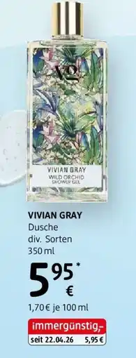 dm Vivian gray wild orchid shower gel Angebot