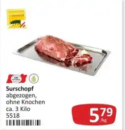Kastner Surschopf Angebot