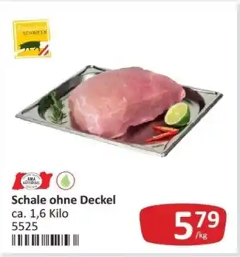 Kastner Schale ohne deckel Angebot