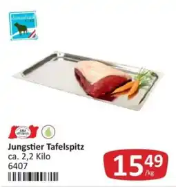 Kastner Jungstier tafelspitz Angebot