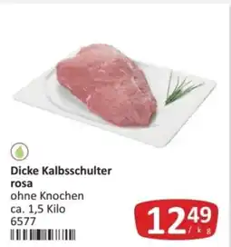 Kastner Dicke kalbsschulter Angebot