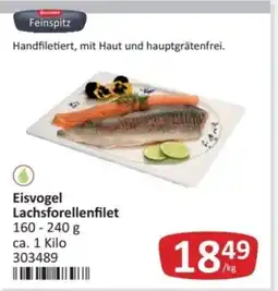 Kastner Eisvogel Lachsforellenfilet Angebot