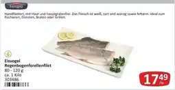 Kastner Eisvogel regenbogenforellenfilet Angebot