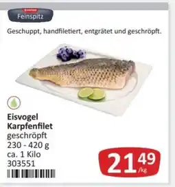 Kastner Eisvogel Karpfenfilet geschröpft 230 g -420 g Angebot