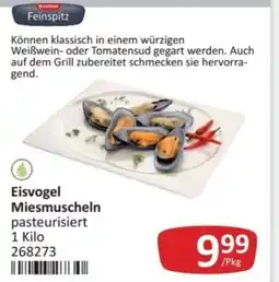 Kastner Eisvogel miesmuscheln Angebot
