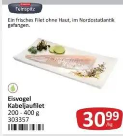 Kastner Eisvogel kabeljaufilet Angebot