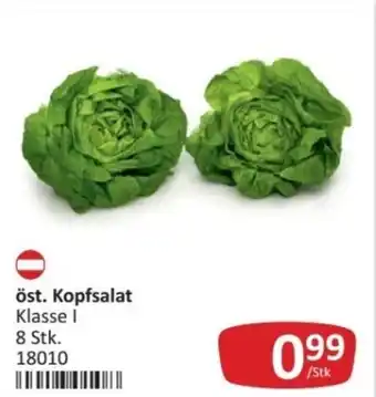 Kastner Öst. kopfsalat Angebot