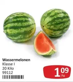 Kastner Wassermelonen Angebot