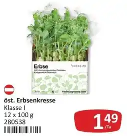 Kastner Öst. erbsenkresse Angebot