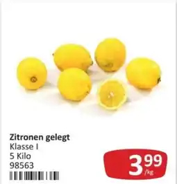 Kastner Zitronen gelegt Angebot