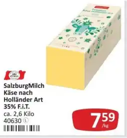 Kastner Salzburgmilch käse nach holländer art Angebot