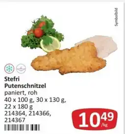 Kastner Stefri putenschnitzel Angebot
