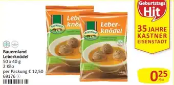 Kastner Bauernland leberknödel Angebot