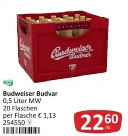 Kastner Budweiser budvar Angebot