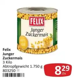 Kastner Felix junger zuckermais Angebot