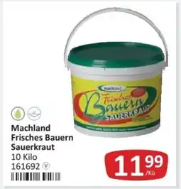 Kastner Machland frisches bauern sauerkraut Angebot