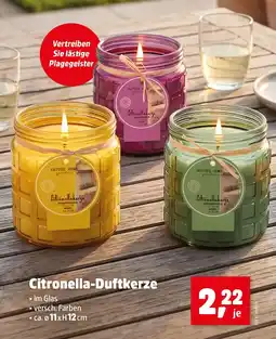 Thomas Philipps Citronella-Duftkerze Angebot