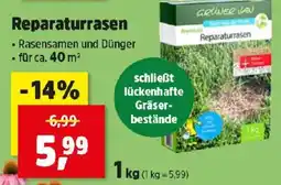 Thomas Philipps Grüwer Jan Reparaturrasen Angebot