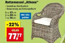 Thomas Philipps Rattansessel Athena Angebot