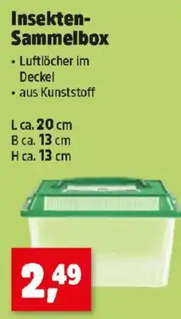 Thomas Philipps Insekten-Sammelbox Angebot
