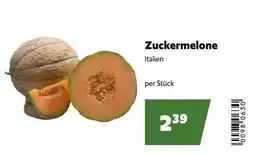 Eurogast Grissemann Zuckermelone Angebot