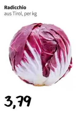 Der Grissemann Radicchio aus Tirol Angebot