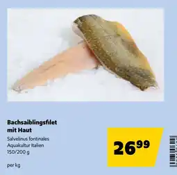 Eurogast Grissemann Bachsaiblingsfilet mit Haut Angebot