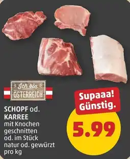 PENNY SCHOPF od. KARREE Angebot