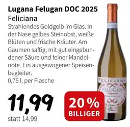 Der Grissemann Lugana Felugan DOC 2025 Feliciana Angebot