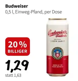 Der Grissemann Budweiser Angebot
