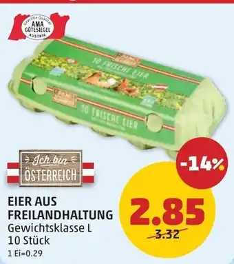 PENNY Eier aus Freilandhaltung Angebot