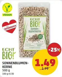PENNY ECHT BIG! Sonnenblumenkerne Angebot