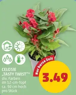 PENNY CELOSIE „TASTY TWIST“* Angebot