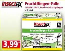 Norma insectex Fruchtfliegen-Falle Angebot