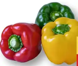 MPreis M Paprika Tricolore Angebot