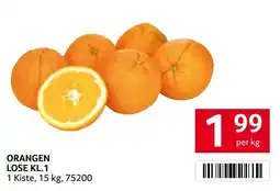 Transgourmet Orangen Angebot