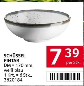 Transgourmet Schüssel Pintar Angebot