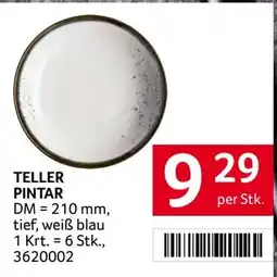 Transgourmet Teller Pintar Angebot