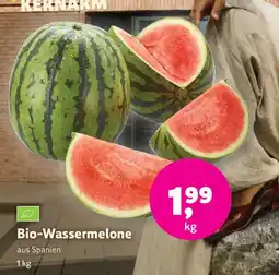 Denn's Biomarkt Bio-Wassermelone Angebot