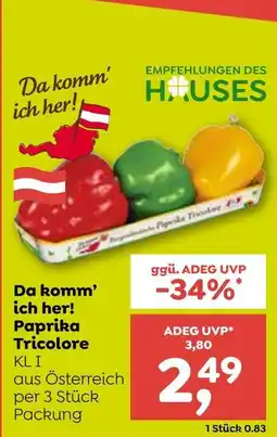ADEG Paprika Tricolore Angebot