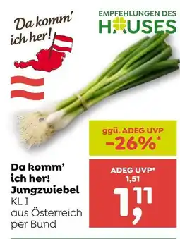ADEG Jungzwiebel KL I aus Österreich per Bund Angebot